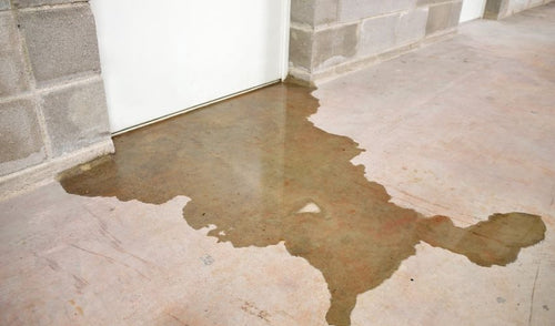 Prevent Basement Flooding