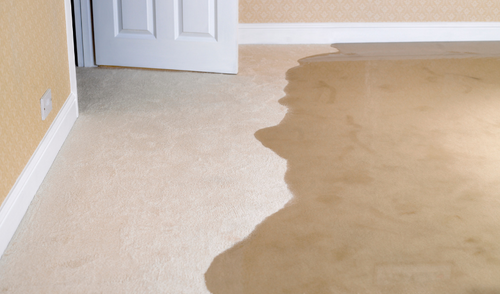 Repairing Water Damage