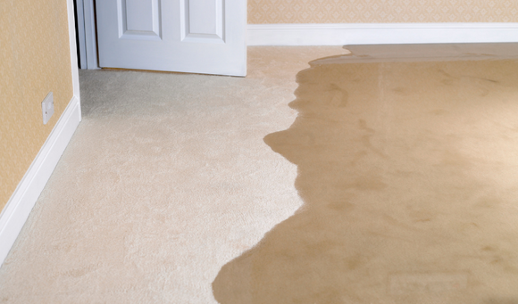 Repairing Water Damage